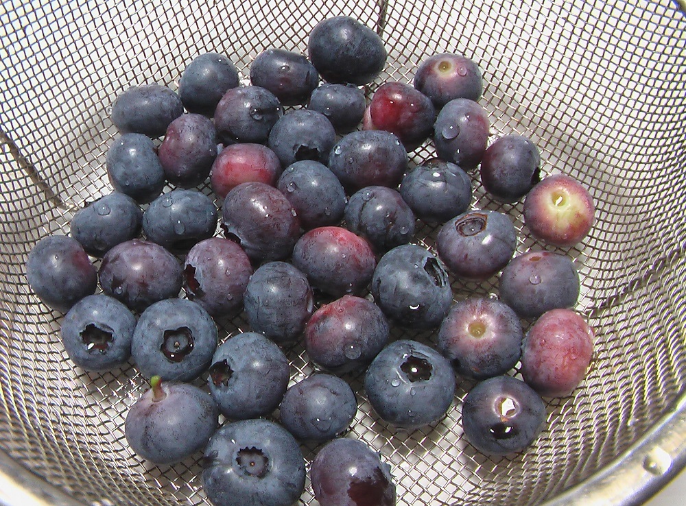 c0335218_17052420.jpg
