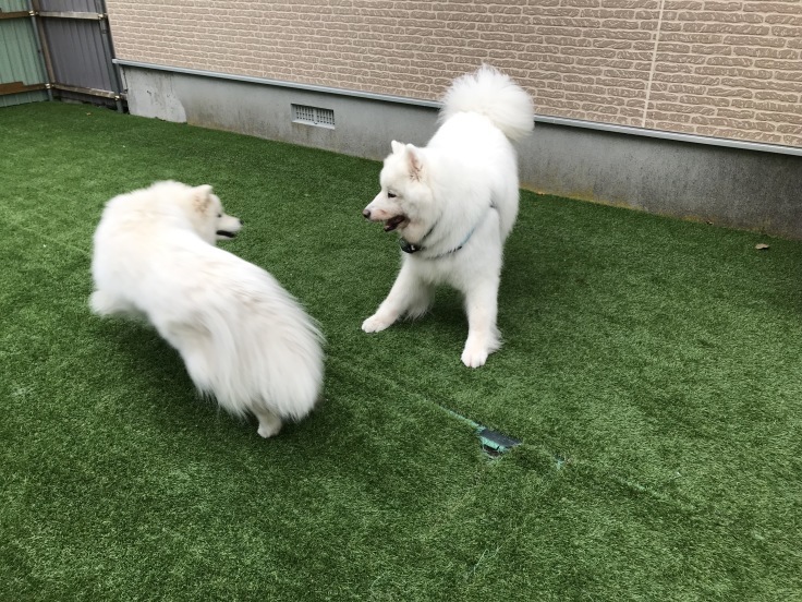 f0234023_20373149.jpeg