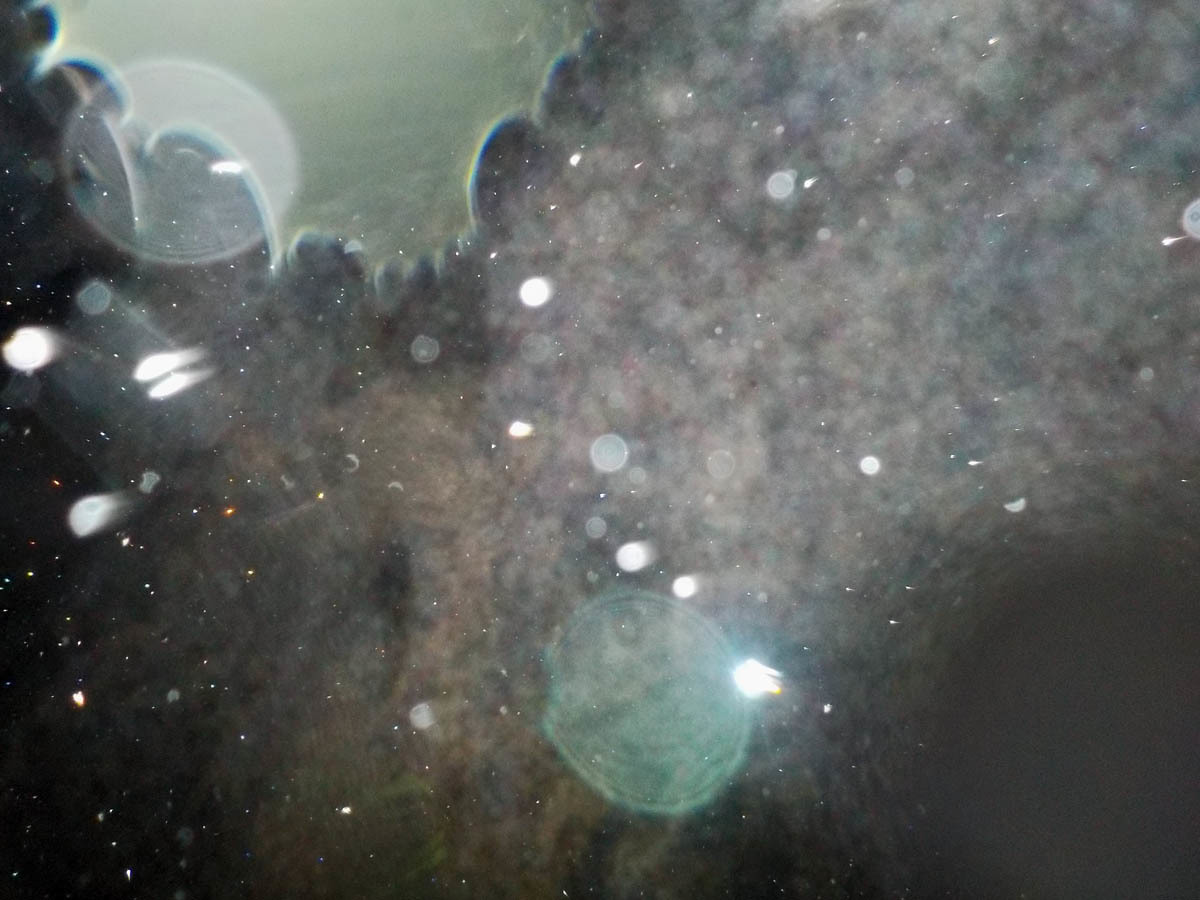 c0331825_03424286.jpg