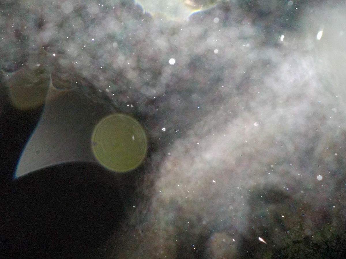 c0331825_03520098.jpg