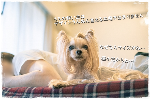 d0179828_10495021.png