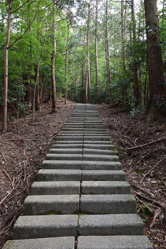 阿波国最大の山城、一宮城攻城記。 その1 <登山口~湧水>_e0158128_14403947.jpg