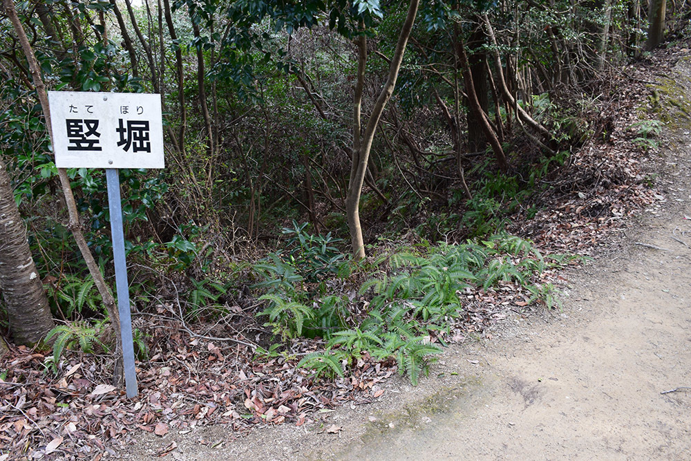 阿波国最大の山城、一宮城攻城記。 その1 <登山口~湧水>_e0158128_14444096.jpg