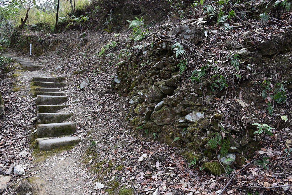 阿波国最大の山城、一宮城攻城記。 その1 <登山口~湧水>_e0158128_14491759.jpg