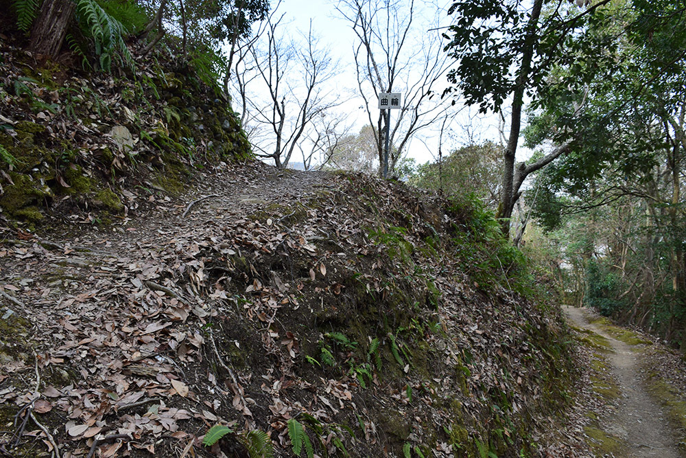 阿波国最大の山城、一宮城攻城記。 その1 <登山口~湧水>_e0158128_14501517.jpg