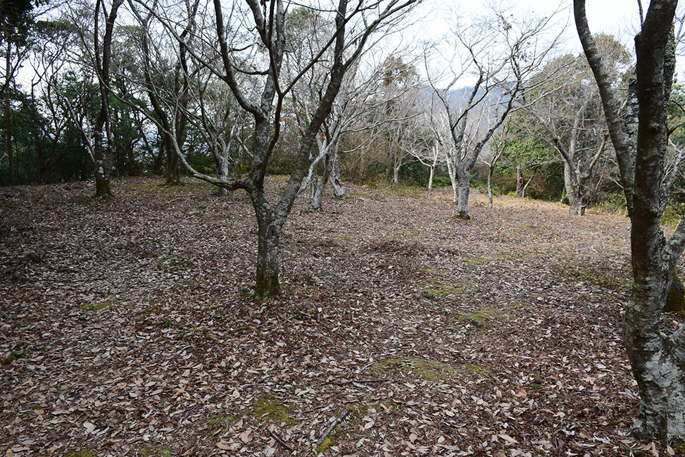 阿波国最大の山城、一宮城攻城記。 その1 <登山口~湧水>_e0158128_14530626.jpg