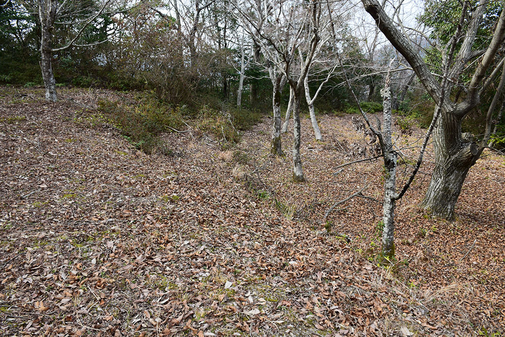 阿波国最大の山城、一宮城攻城記。 その1 <登山口~湧水>_e0158128_14530929.jpg