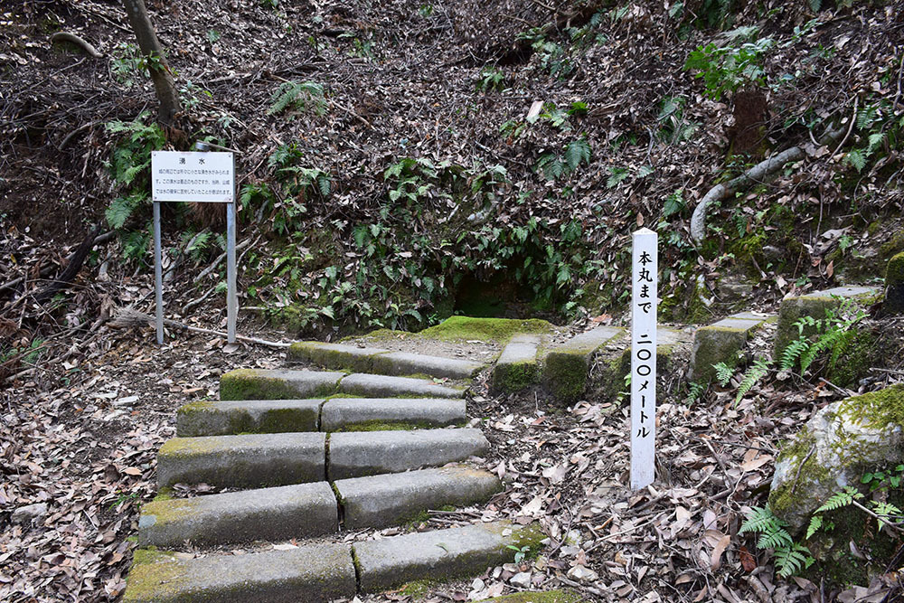 阿波国最大の山城、一宮城攻城記。 その1 <登山口~湧水>_e0158128_14564393.jpg