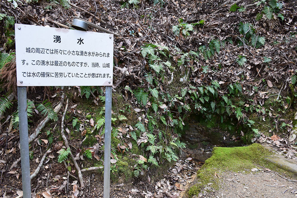 阿波国最大の山城、一宮城攻城記。 その1 <登山口~湧水>_e0158128_14585507.jpg