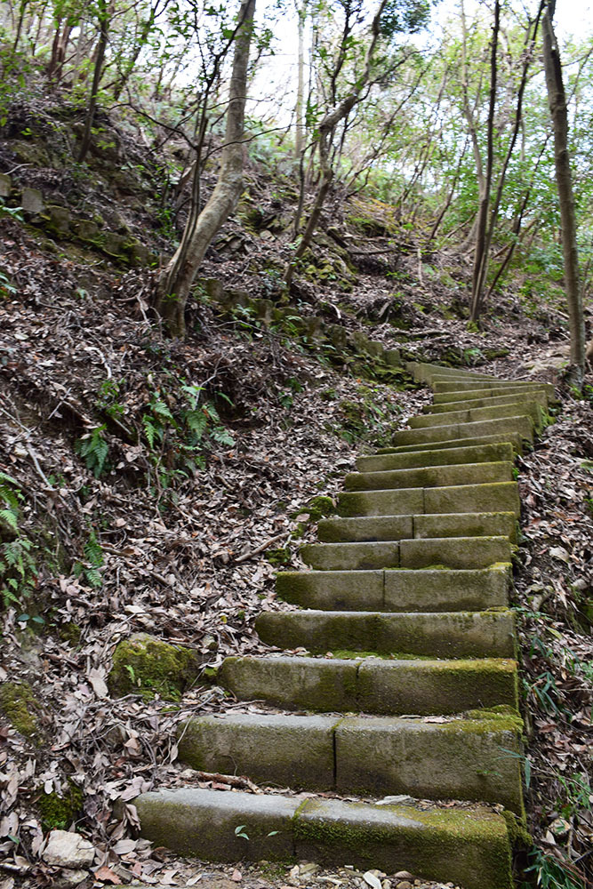 阿波国最大の山城、一宮城攻城記。 その1 <登山口~湧水>_e0158128_14585803.jpg