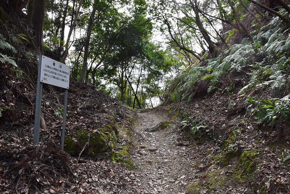 阿波国最大の山城、一宮城攻城記。 その2 <才蔵丸~明神丸>_e0158128_15153967.jpg