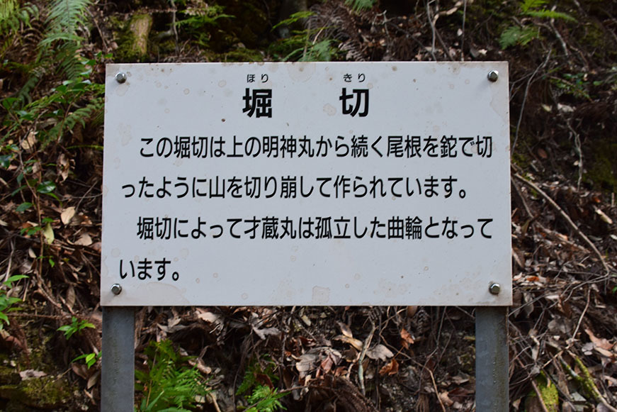 阿波国最大の山城、一宮城攻城記。 その2 <才蔵丸~明神丸>_e0158128_15165916.jpg