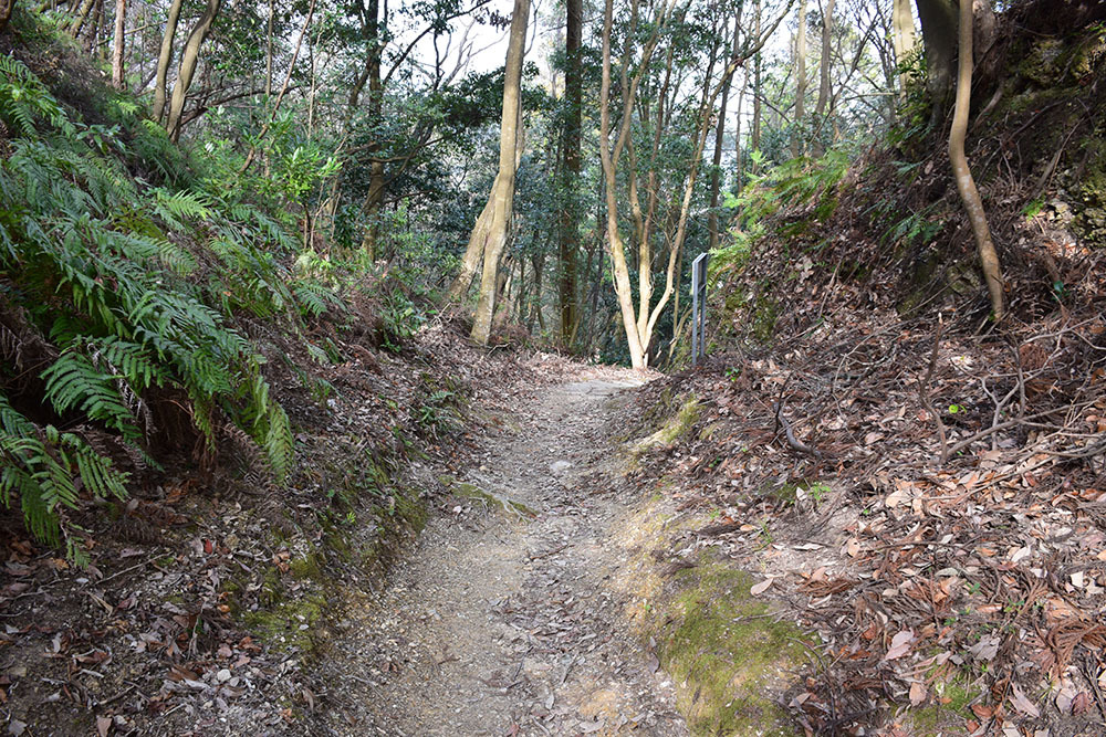 阿波国最大の山城、一宮城攻城記。 その2 <才蔵丸~明神丸>_e0158128_15174360.jpg