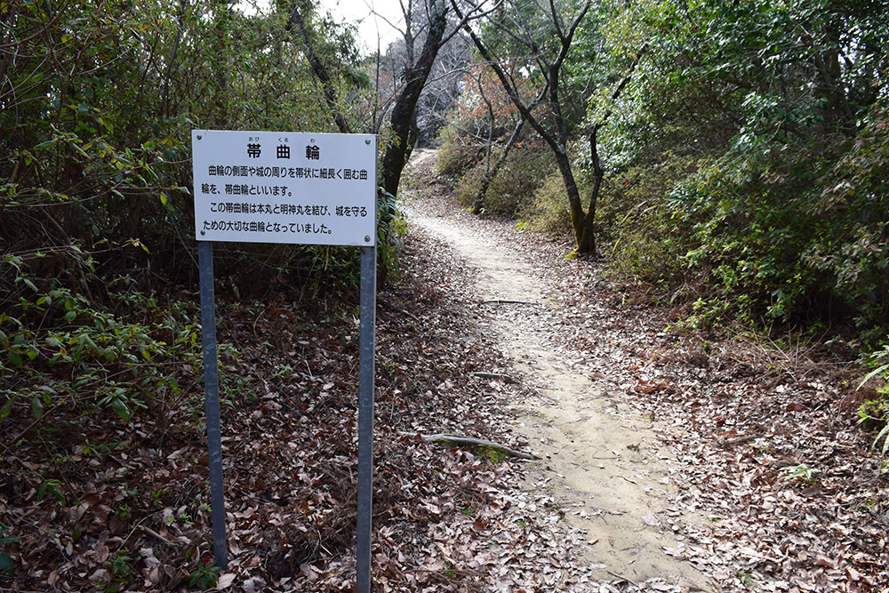 阿波国最大の山城、一宮城攻城記。 その2 <才蔵丸~明神丸>_e0158128_15340049.jpg