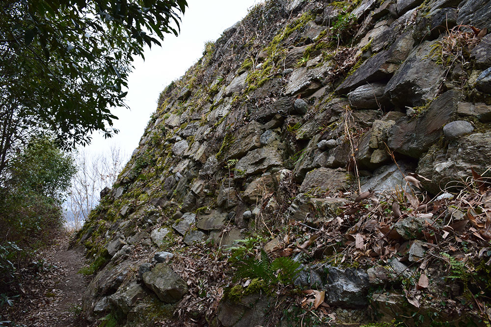 阿波国最大の山城、一宮城攻城記。 その3 <本丸>_e0158128_16055114.jpg