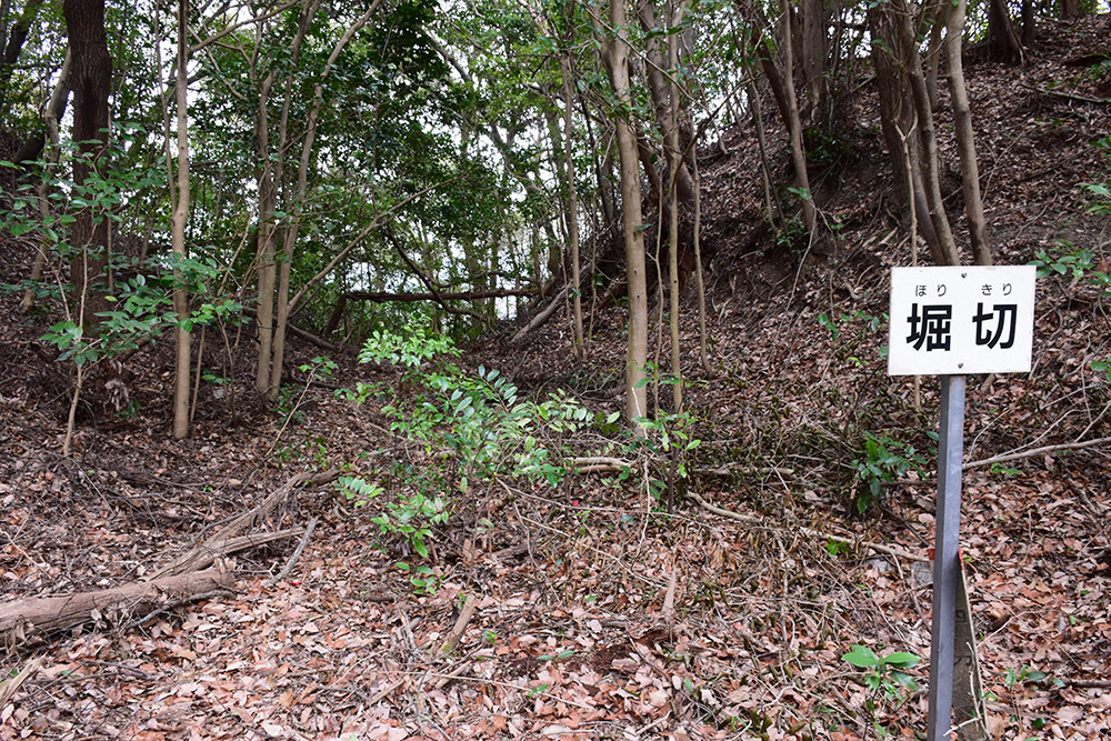阿波国最大の山城、一宮城攻城記。 その4 <小倉丸~椎の丸~下山道>_e0158128_16344277.jpg