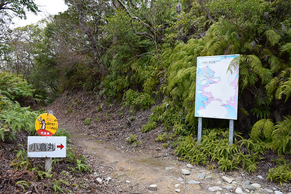阿波国最大の山城、一宮城攻城記。 その4 <小倉丸~椎の丸~下山道>_e0158128_16363785.jpg