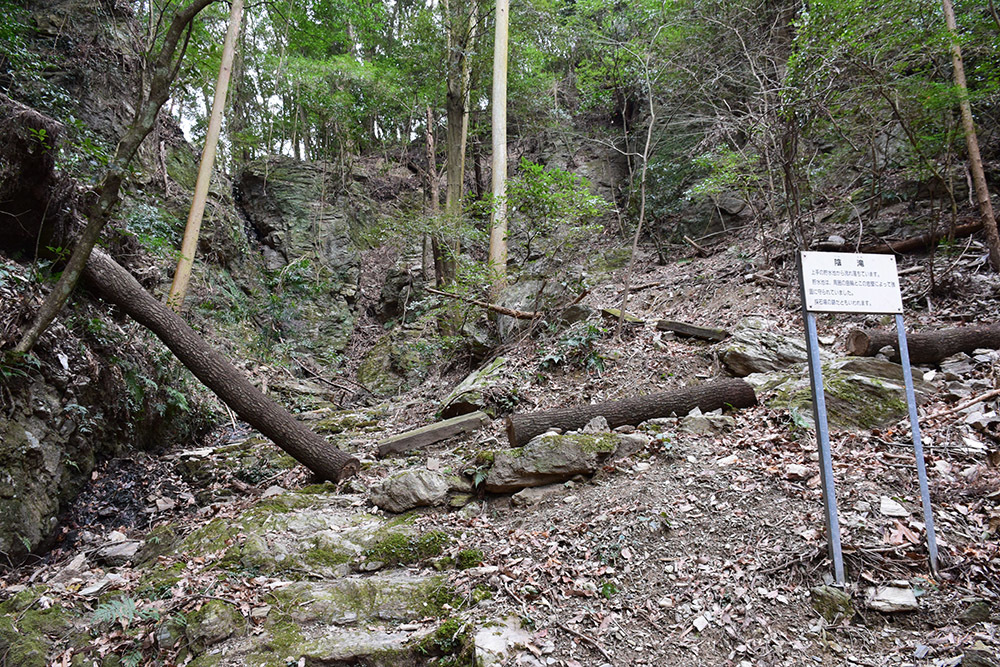 阿波国最大の山城、一宮城攻城記。 その4 <小倉丸~椎の丸~下山道>_e0158128_16511697.jpg