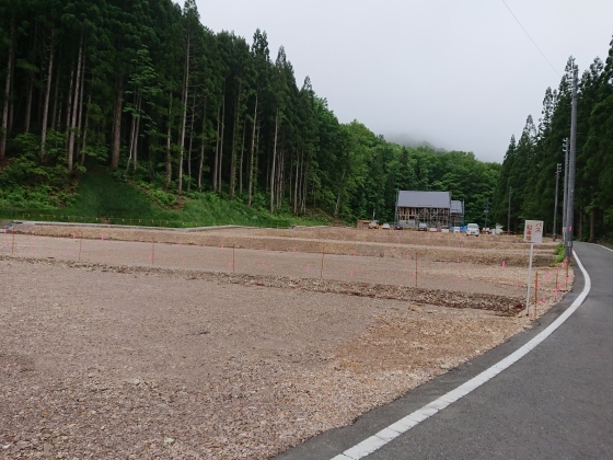 f0118332_20540627.jpg