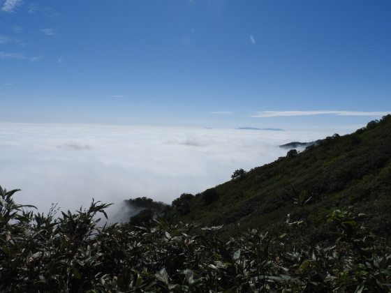 f0118332_20560341.jpg