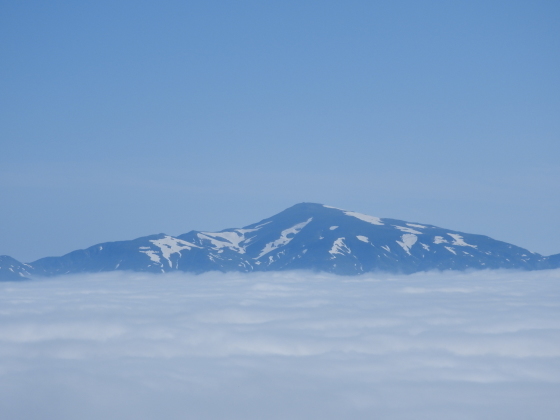f0118332_20595423.jpg