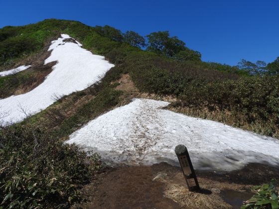f0118332_21023128.jpg