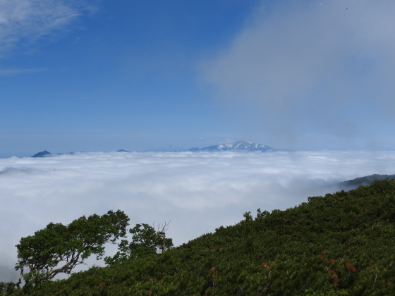 f0118332_21081794.jpg