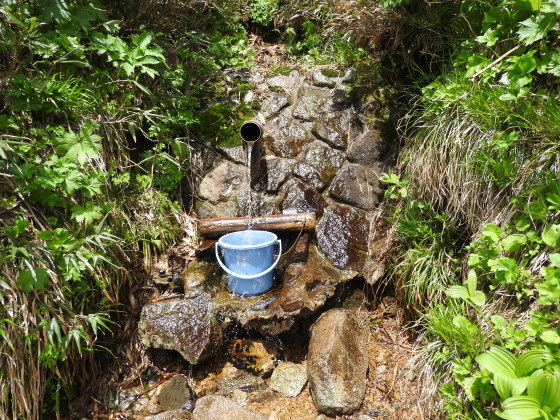 f0118332_21152896.jpg