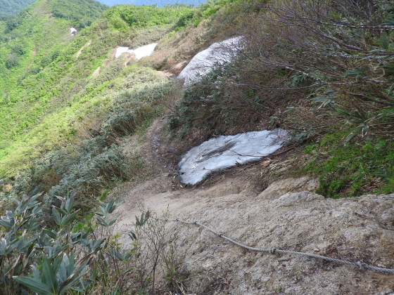 f0118332_21242517.jpg