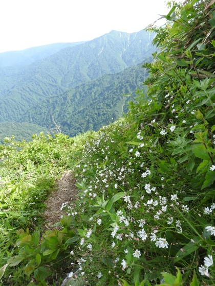 f0118332_21250706.jpg