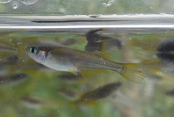 e0097534_18203870.jpg