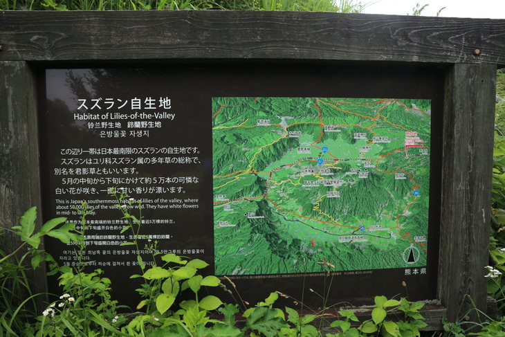 e0272335_17372792.jpg