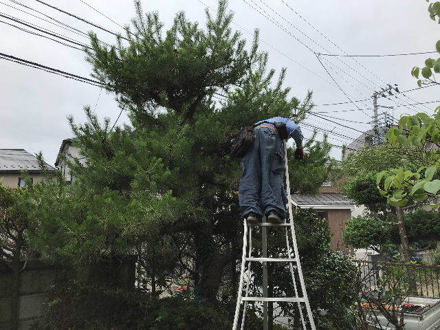 ボリューム満点 最速作業_f0031037_18000890.jpg