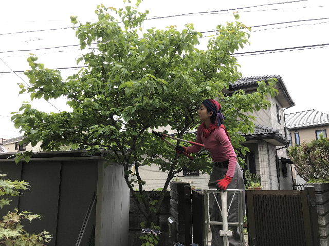 ボリューム満点 最速作業_f0031037_18014025.jpg