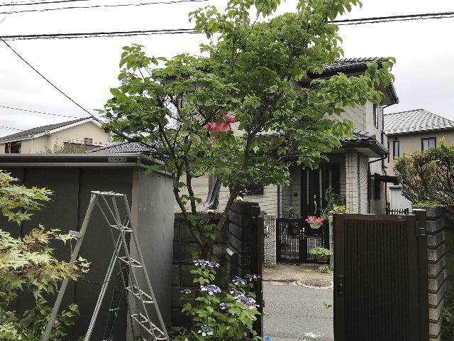 ボリューム満点 最速作業_f0031037_18014523.jpg