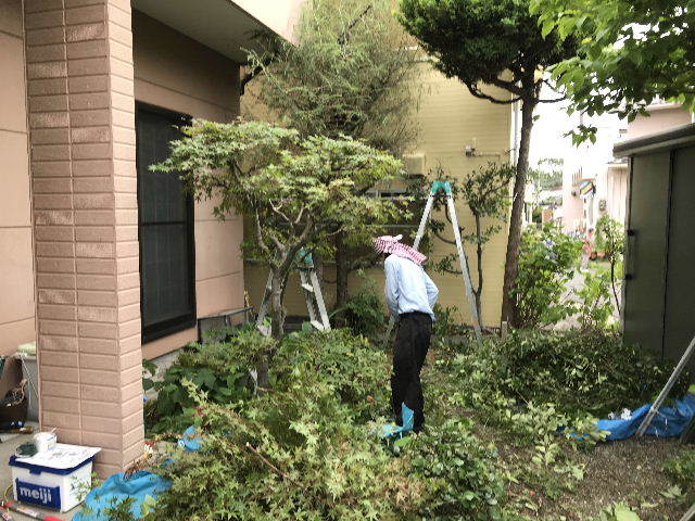 ボリューム満点 最速作業_f0031037_18044961.jpg