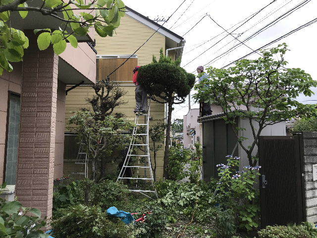 ボリューム満点 最速作業_f0031037_18045810.jpg