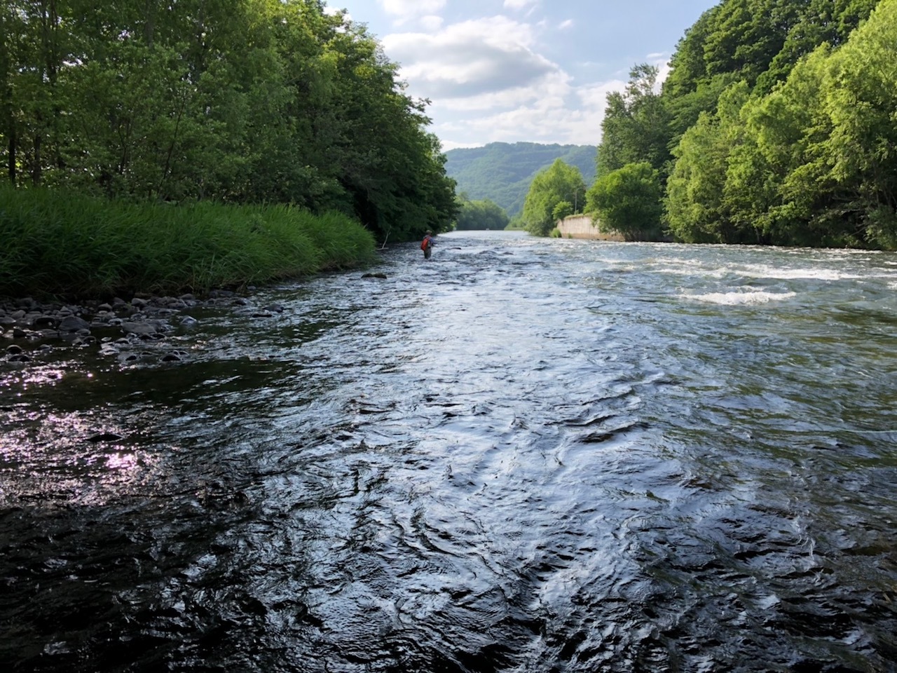 e0242439_01104480.jpg