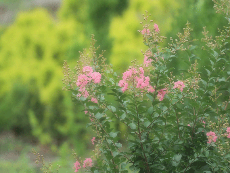 d0290240_14313806.gif
