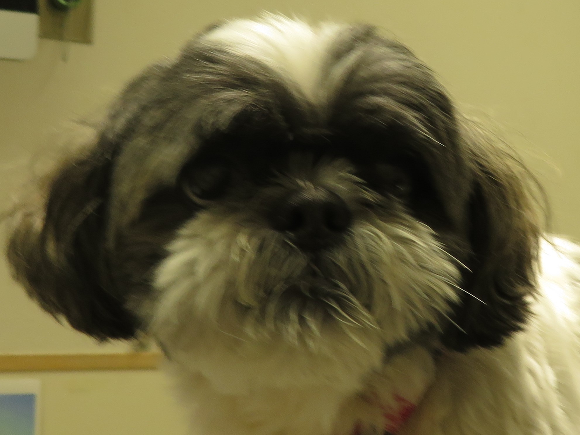 7 月 9 日の写真_c0174644_11264787.jpg