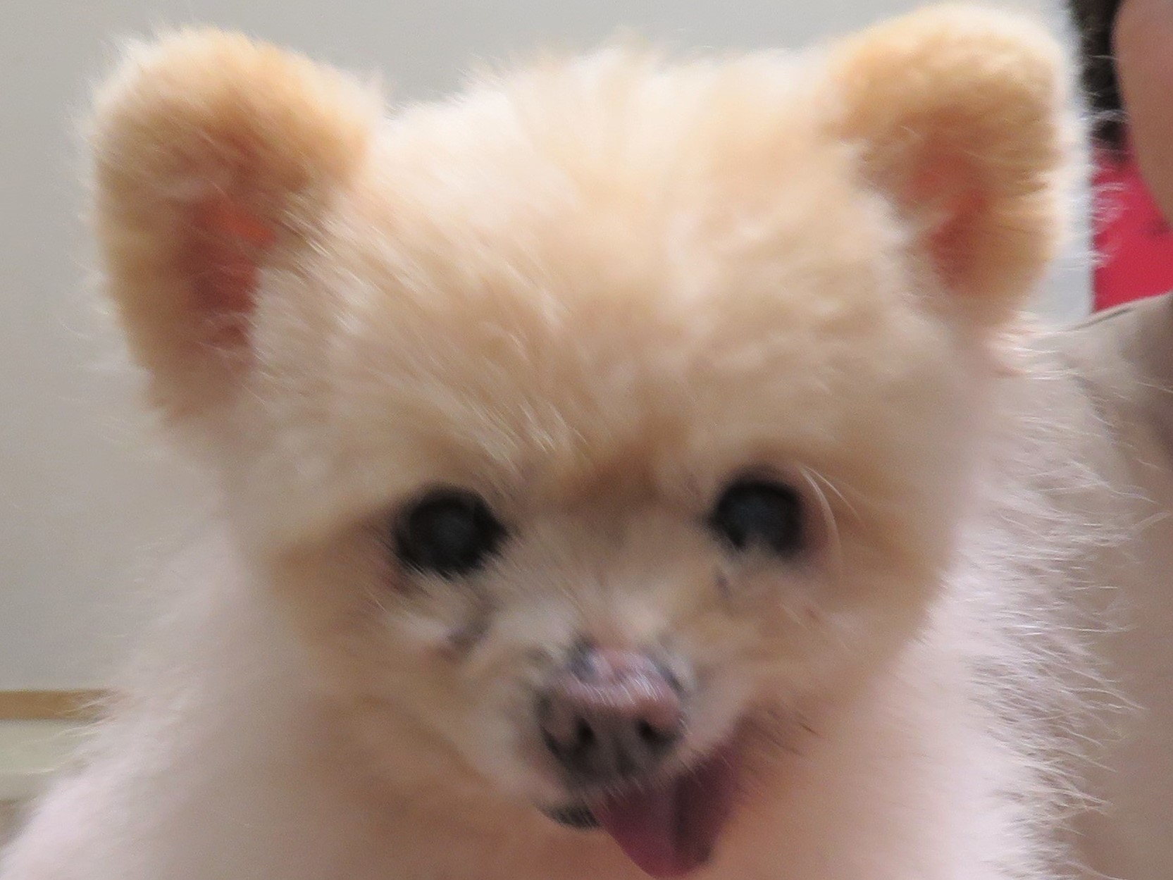 7 月 9 日の写真_c0174644_11264886.jpg