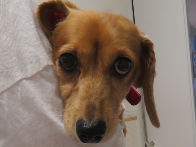 7 月 9 日の写真_c0174644_19122509.jpg