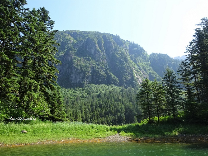 d0356844_03235014.jpg