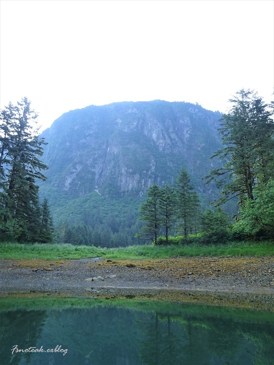 d0356844_10031860.jpg