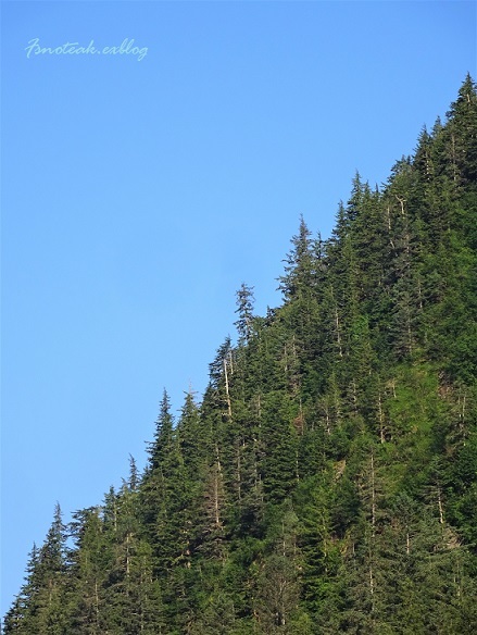 d0356844_10042628.jpg