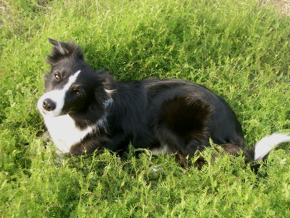 e0128144_05411667.jpg