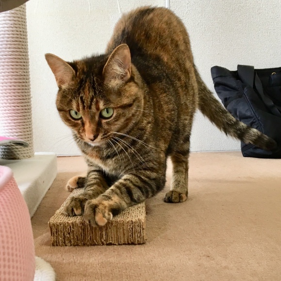 f0372445_08280415.jpeg