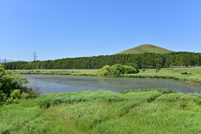 b0249247_23011480.jpg