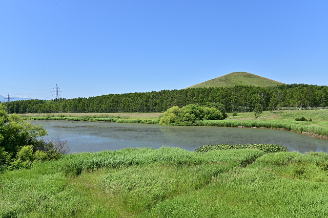 札幌　Z6試し撮り_b0249247_23011480.jpg