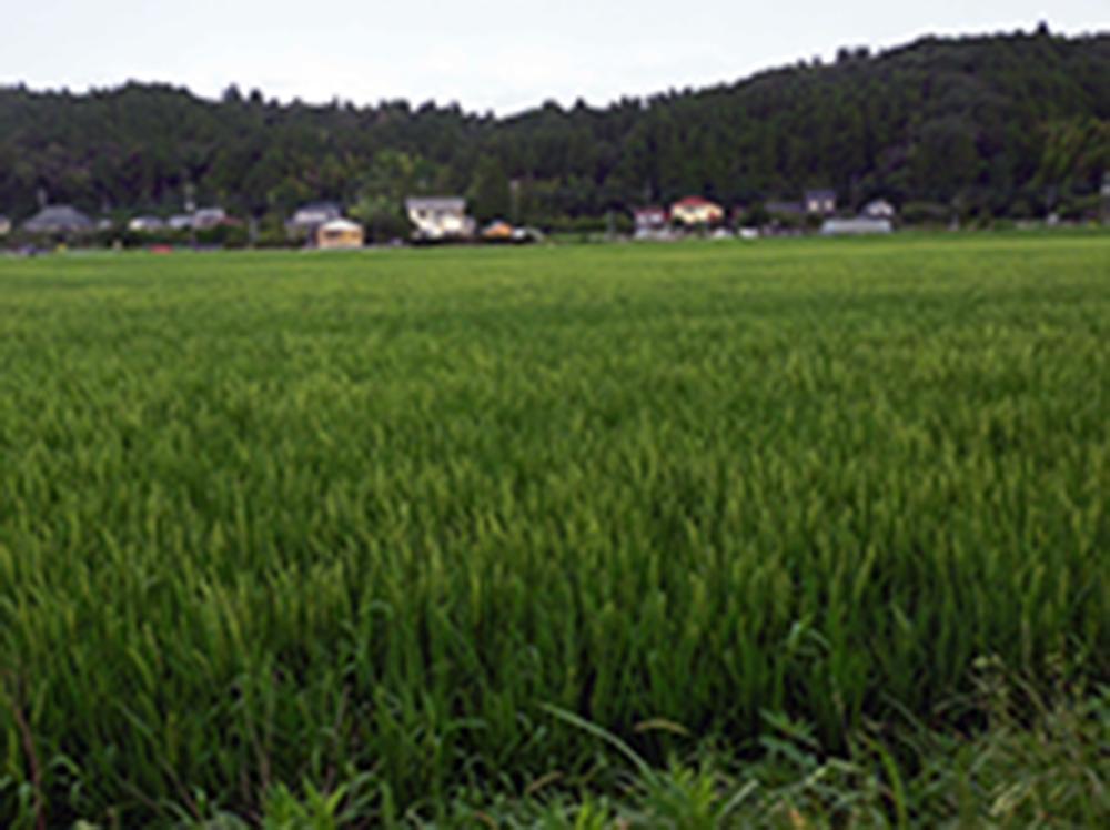 e0024554_23210885.jpg